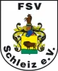 FSV Schleiz (N)