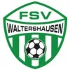 FSV  Waltershausen II