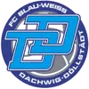 FC Dachwig/Döllstädt II